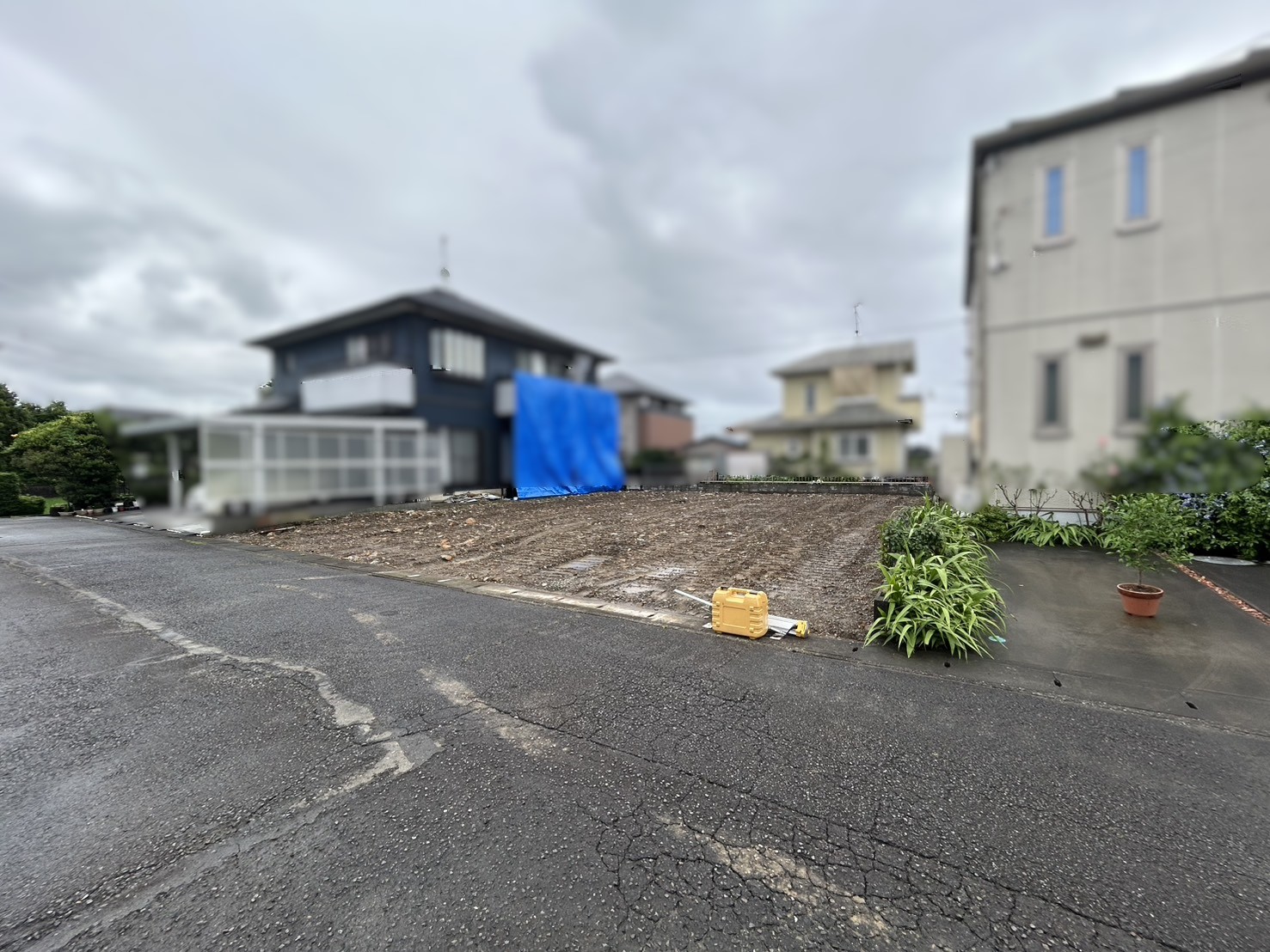 藤枝市兵太夫【販売開始】