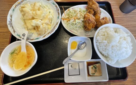 蒲郡市金平町にて草刈り！そして、お楽しみのランチ♪（豊川営業所）